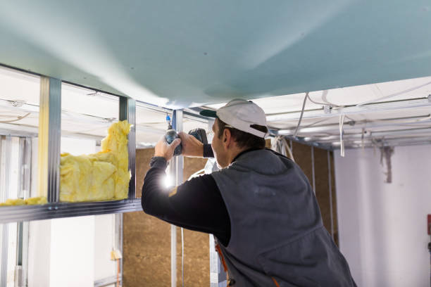 Professional Insulation Contractor in Bogata, TX