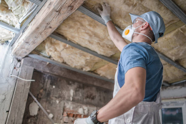Best Commercial Insulation in Bogata, TX