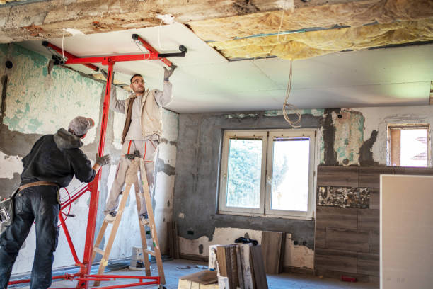 Best Cellulose Insulation in Bogata, TX