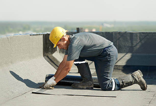 Best Insulation Maintenance and Repair in Bogata, TX