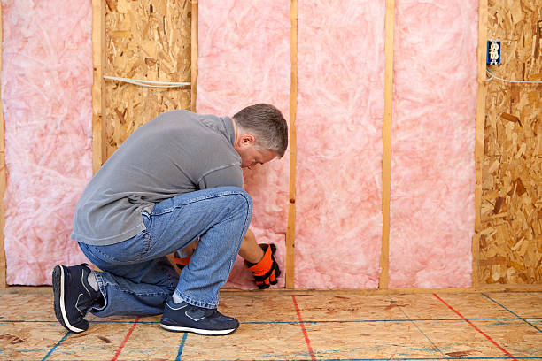 Best Eco-Friendly Insulation in Bogata, TX