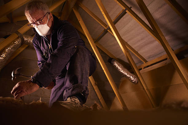 Best Blown-in Insulation in Bogata, TX